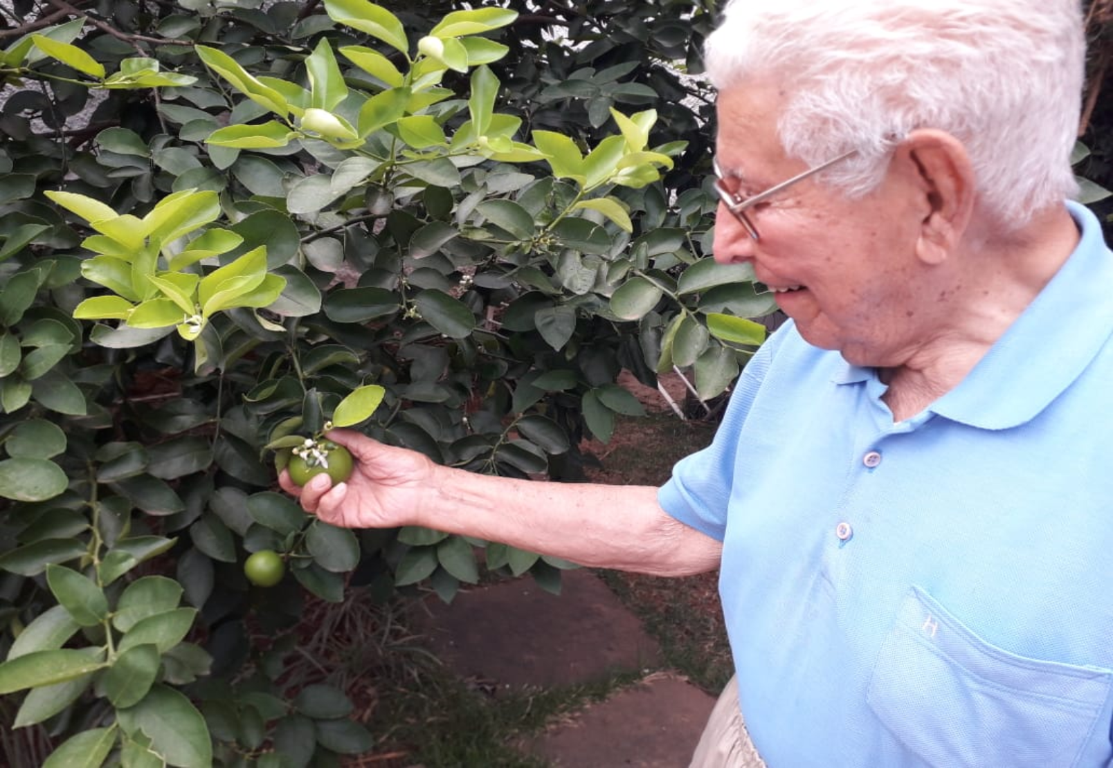 Alimentação na terceira idade: 5 cuidados essenciais que devemos tomar