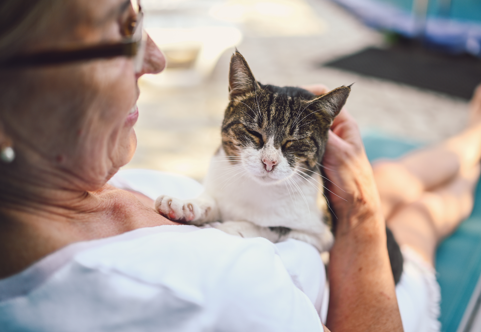 Idosos e animais de estimação – Os benefícios de um pet na terceira idade