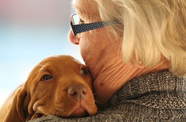 Idosos e animais de estimação – Os benefícios de um pet na terceira idade