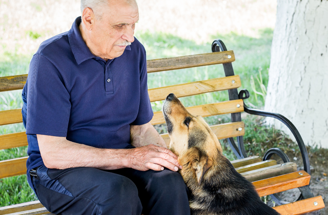 Idosos e animais de estimação – Os benefícios de um pet na terceira idade